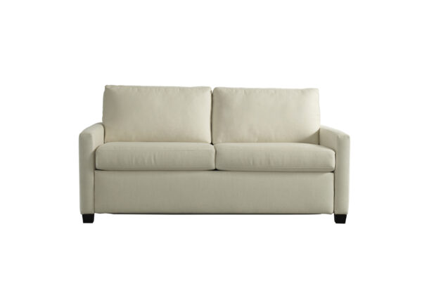 Palmer Comfort Sleeper - Image 4
