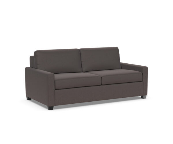 Palmer Comfort Sleeper