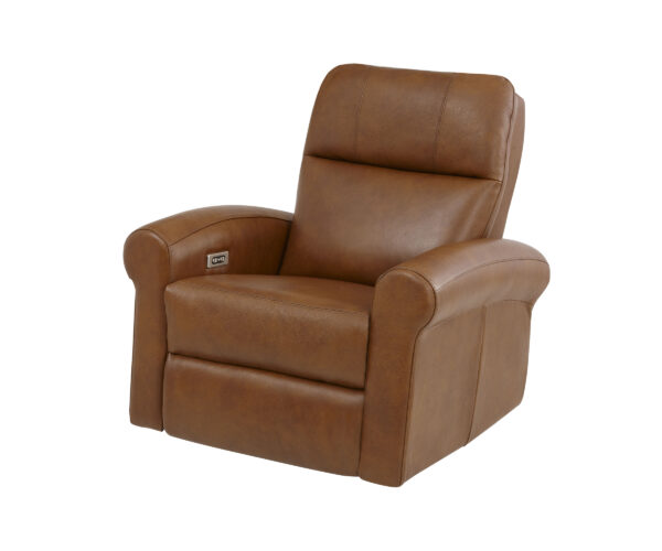 Art of Options Recliner - Image 2