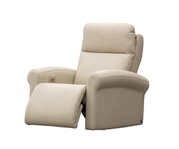 Art of Options Recliner - Image 6