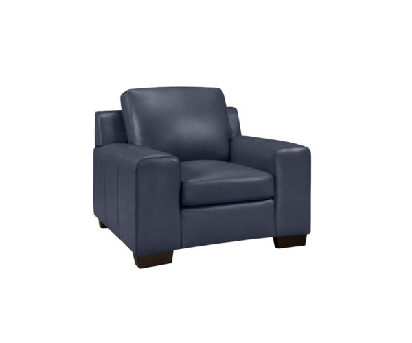 Bailey - Image 4