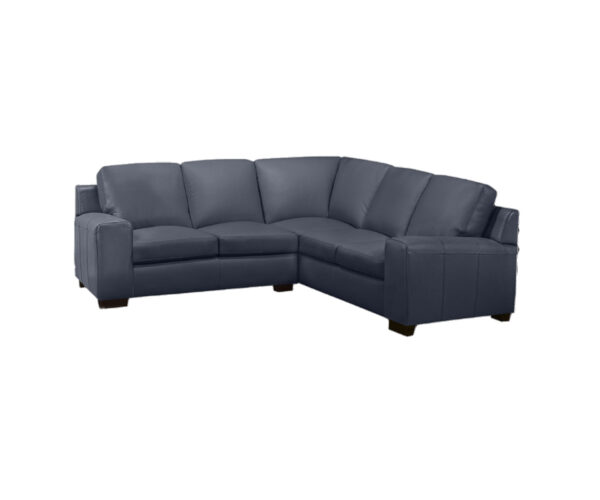 Bailey - Image 5
