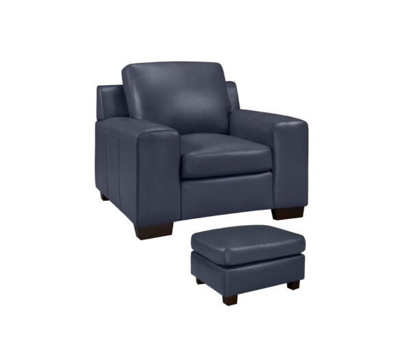 Bailey - Image 3