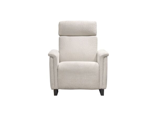 Felix Recliner - Image 2